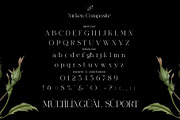 Nicken Modern Serif Typeface, a Serif Font by Alfinart (Thumbnail 6 of 10)