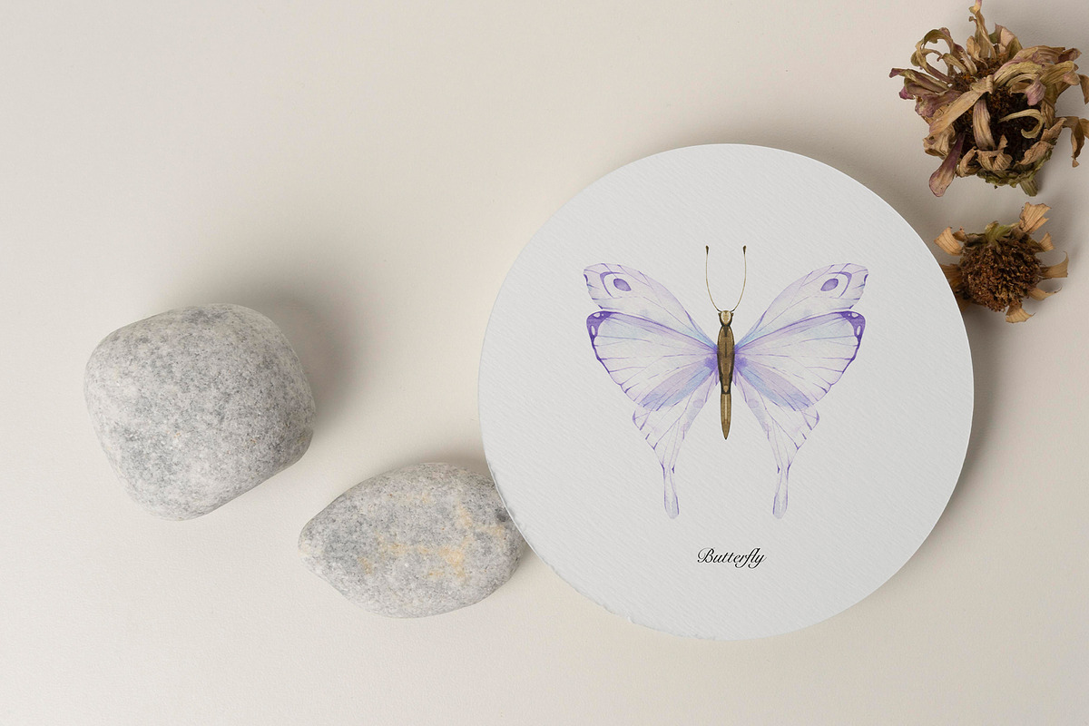 Watercolor Butterfly collection, an Object Illustration by ArtMaslyana (Photo 3 of 9)