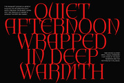 CS Alarix – Serif Display Font, a Serif Font by Craft Supply Co. (Thumbnail 5 of 8)