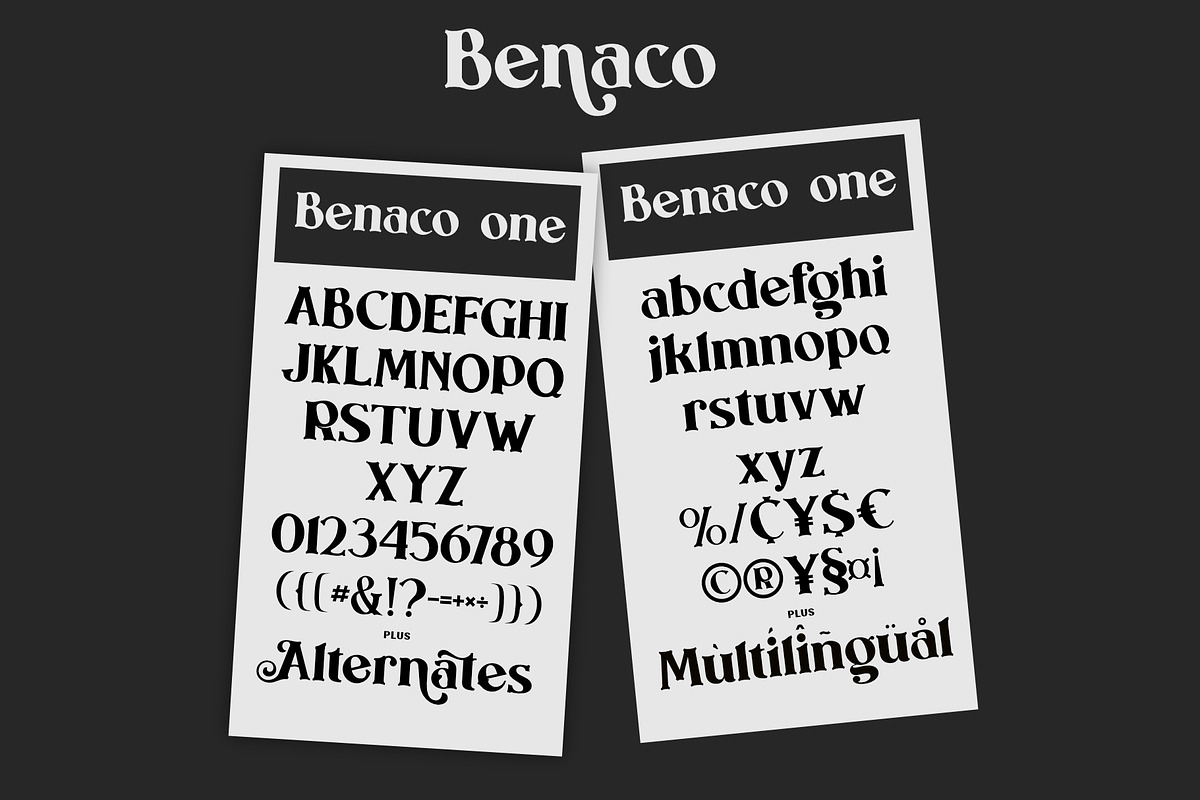 Benaco, a Sans Serif Font by Khoir (Photo 7 of 17)