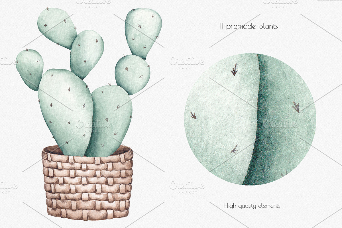 Watercolor ClipArt Green Plants, an Illustration by SirenaArt (Photo 7 of 20)