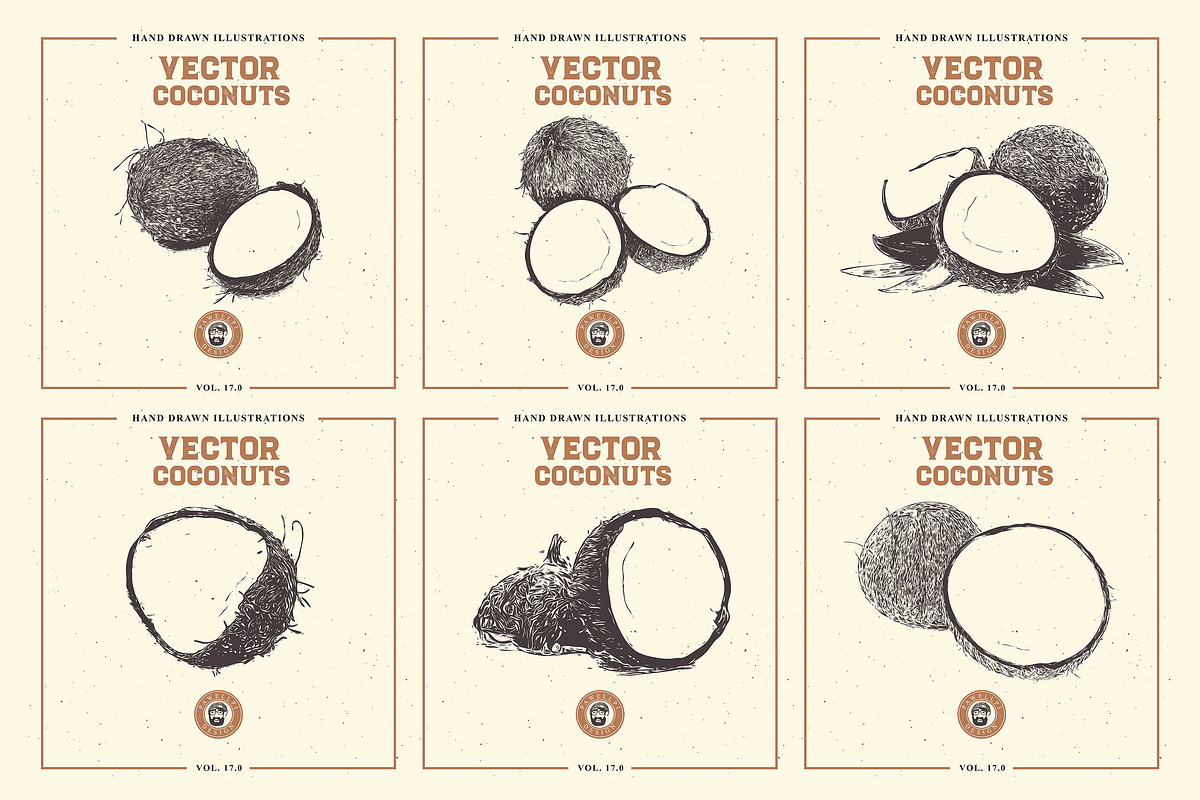 VECTOR COCONUTS HAND DRAWN BUNDLE, a Food Illustration by pawellpi (Photo 4 of 6)
