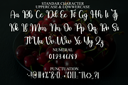 Authententic, a Handwritten Font by InermediaSTUDIO (Thumbnail 7 of 8)