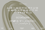 Retro Florida – A Modern Retro Serif, a Serif Font by overlaytemplates (Thumbnail 4 of 5)