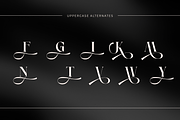 Anikea - Luxury Branding Logo Font, a Serif Font by Nirmana Visual (Thumbnail 7 of 11)