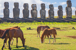 Horses on pasture in front of stone moai statues of Ahu Tongarik, a Photo by Pictures for you!!!!!!!!!
