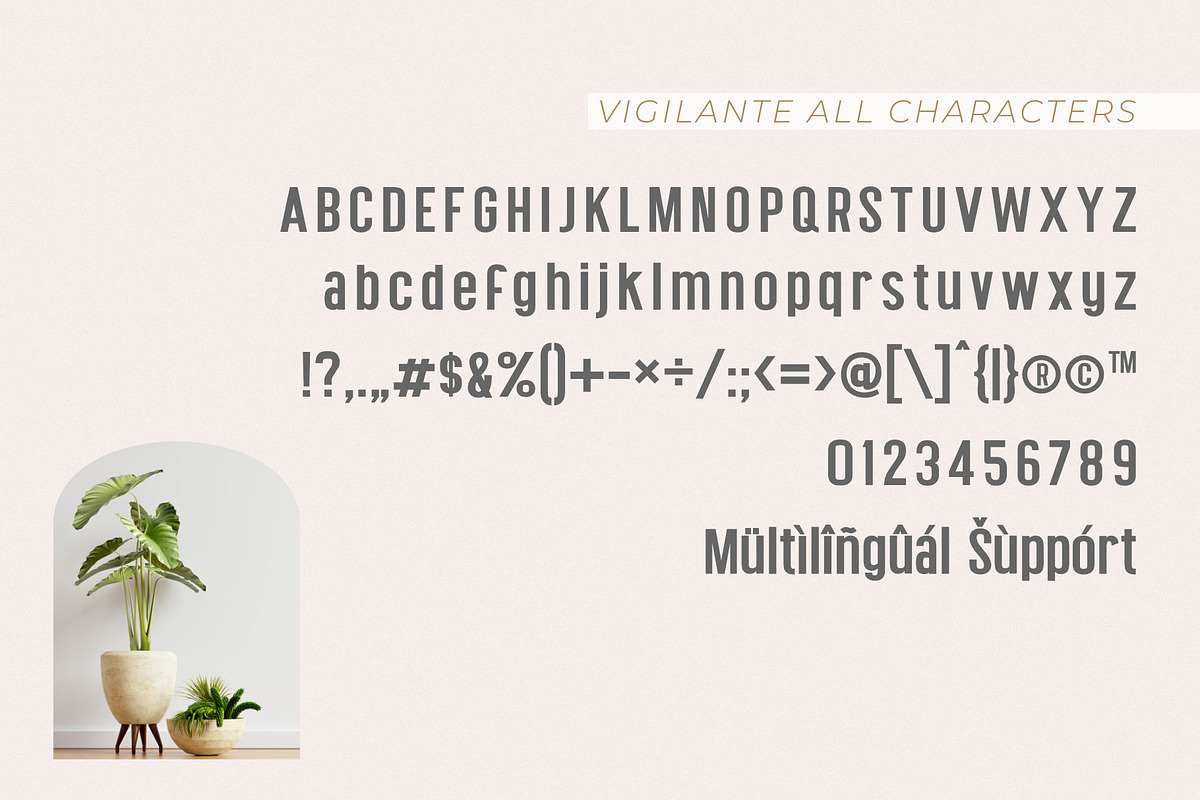 Vigilante | A Modern Classy Font Duo, a Sans Serif Font by Andrimada Creative (Photo 7 of 10)