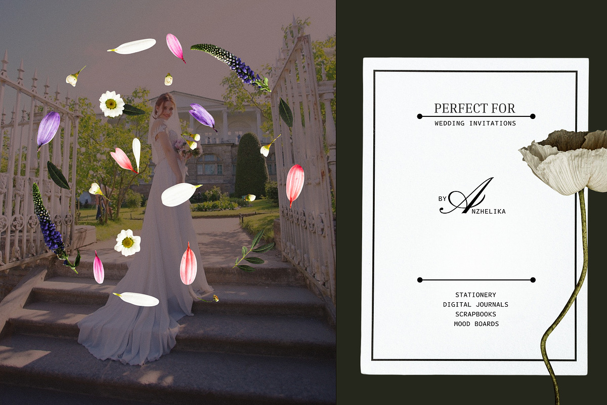 Analog Wedding Collage Kit, an Object Graphic by Anzhelika (Photo 2 of 12)