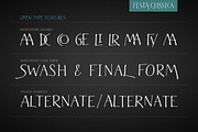 Festa Classica Family, a Font by Green Type (Thumbnail 4 of 8)