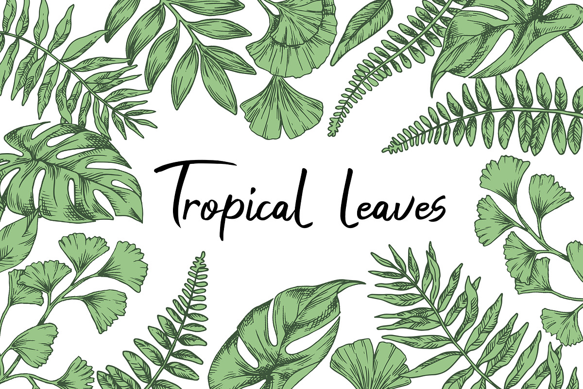 Tropical leaves.  Sketch style, a Seasonal Illustration by made by Tanya (Photo 1 of 4)