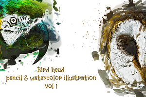Bird Head Pencil & Watercolor vol 1