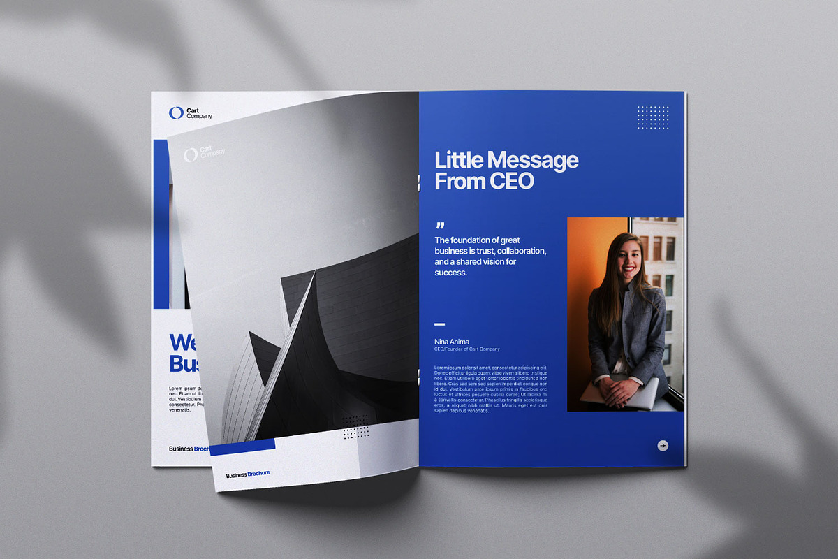 Business Brochure Magazine, a Magazine Template by Portocraft (Photo 3 of 6)