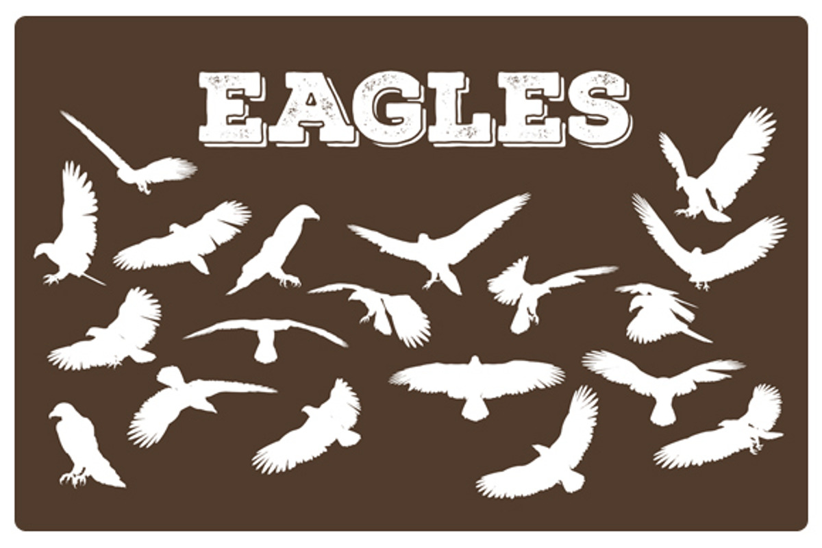 Eagle, an Animal Illustration by Albert Does Stuff