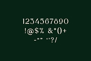 Alviona Modern Serif Font, a Serif Font by UICreative (Thumbnail 9 of 12)