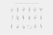 Botanical Logo kit, a Branding & Logo Template by Davide Bassu (Thumbnail 9 of 13)