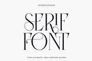 Type Ultimate - serif logo font, a Serif Font by VP Fonts (Thumbnail 21 of 24)