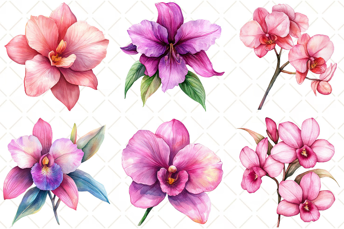 Watercolor Pink Orchid Clipart, an Illustration by Black Bird Studio (Photo 4 of 5)