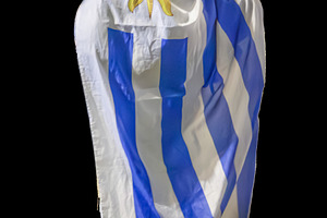 Uruguay fan cover with uruguay flag, a Person Photo by DanFLCreativo