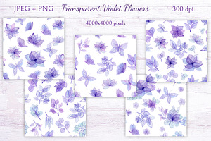 Transparent Violet Flowers