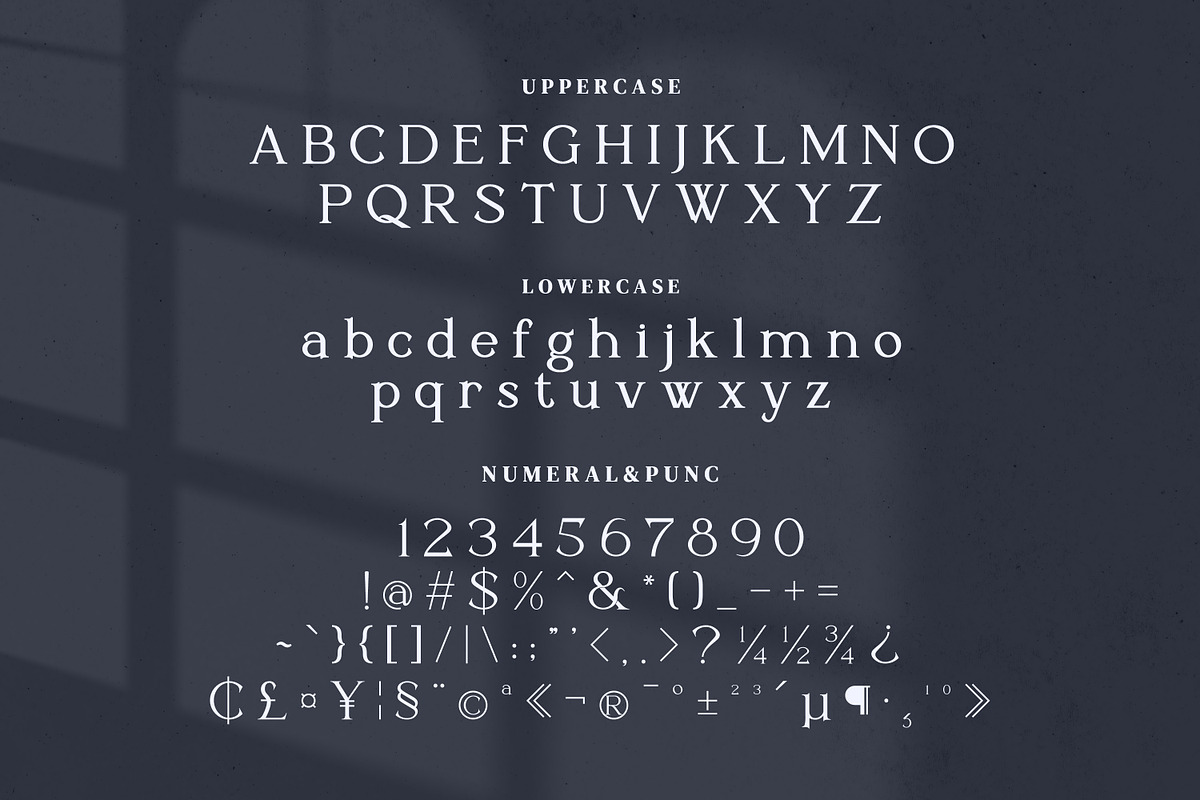 Hitorald Serif Fonts, a Serif Font by mahstudios (Photo 12 of 15)