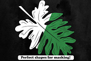 Tropical Leaves Photoshop Brushes, a Brush Add-On by ArtistMef (Thumbnail 4 of 4)