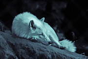 The Digital Art Collection, an Action Add-On by Dene Studios (Thumbnail 33 of 34)
