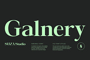 Galnery, a Serif Font by Suza Studio (Thumbnail 1 of 13)