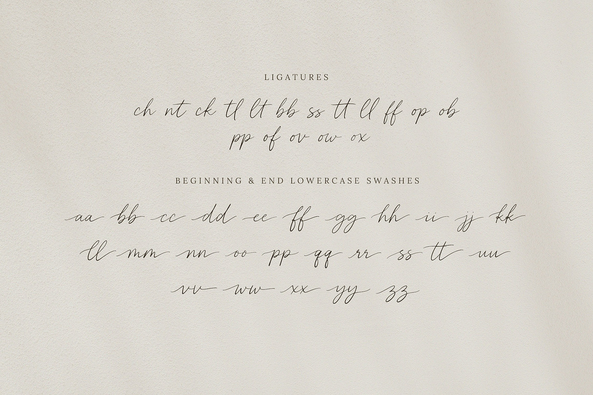 Miltona Elegant Script Font, a Script Font by Seagulls Creative (Photo 10 of 10)