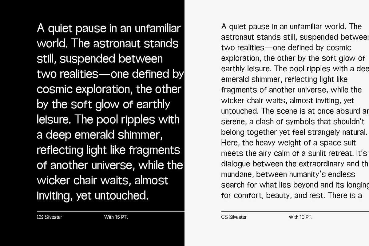 CS Silvester – Geometric Sans Serif, a Sans Serif Font by Craft Supply Co. (Photo 7 of 8)