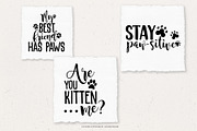 Cat Lover SVG Quote Bundle, an Object Graphic by IllustratorAnnie (Thumbnail 4 of 5)