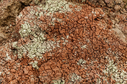 Texture of dry land, an Abstract Photo by Photostock