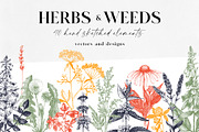 Medicinal Herbs Vector Bundle, a Healthcare Illustration by Yevheniia (Thumbnail 1 of 8)
