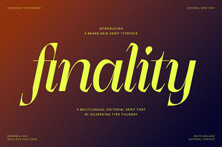 Finality - Modern Serif With Italics, a Serif Font by SilverStag Type Foundry