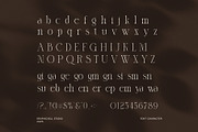 Morgina Elegant Serif Font, a Serif Font by Graphicxell (Thumbnail 7 of 8)