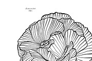 Whimsical Flowers Collection, a Decorative Illustration by ilonitta (Thumbnail 11 of 12)