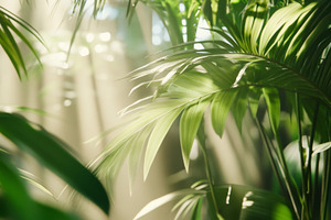 Lush green tropical palm leaves with, a Photo by Dvoevnore photos