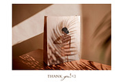 Terracotta Blooms Illustrations, a Decorative Illustration by TiriCo (Thumbnail 9 of 9)