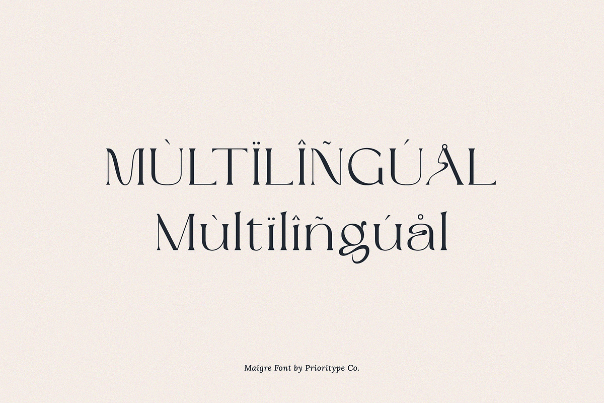Maigre - Modern Serif, a Serif Font by Prioritype Co (Photo 14 of 15)