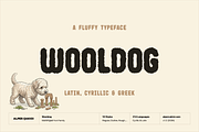 Wooldog Playful Typeface (10 Fonts), a Handwritten Font by alpercakici (Thumbnail 1 of 15)