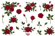 Set of white and red vector roses, an Illustration by belander (Thumbnail 3 of 10)