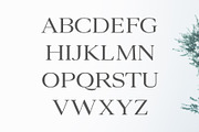 Ammar A Modern Serif, a Serif Font by Symufa (Thumbnail 2 of 7)