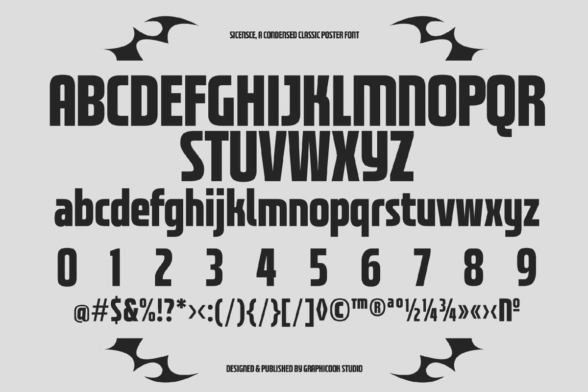 Sicense, a Sans Serif Font by graphicook (Photo 2 of 10)
