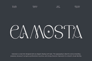Camosta  Display Serif Font, a Font by Flawless And Co