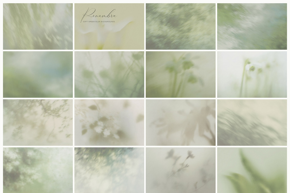 PENUMBRA Soft Green Blur Backgrounds, a Background Graphic by alonahaidash (Photo 12 of 15)