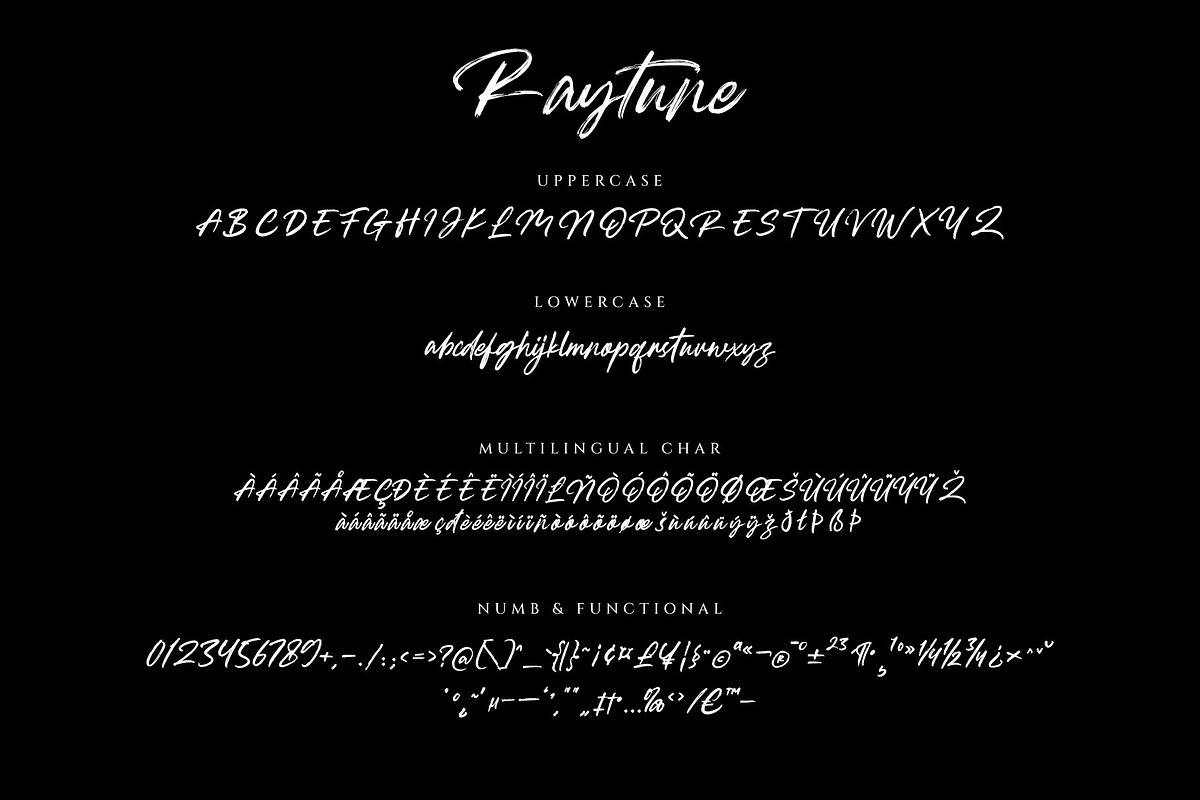 Raytune Signature Brush Typeface, a Script Font by RantautypeStudio (Photo 14 of 15)