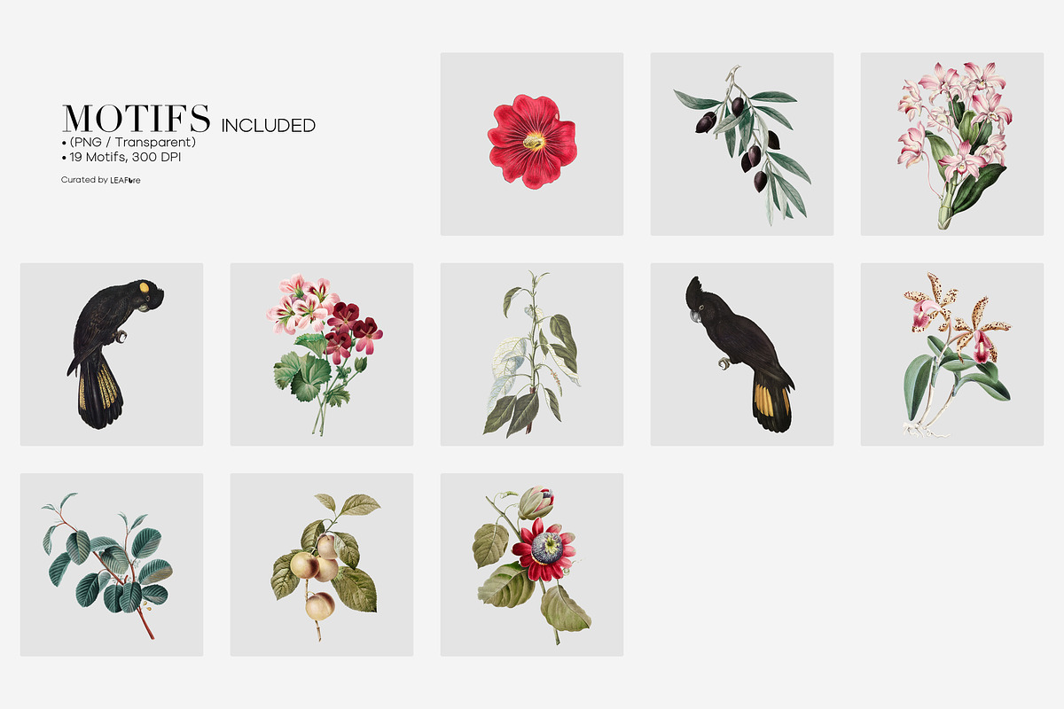 Novelle Exotic Floral Print Designs, a Pattern Graphic by LEAFure (Photo 8 of 9)
