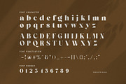 Caffin Elegant Serif Font, a Serif Font by Perfectype (Thumbnail 7 of 8)