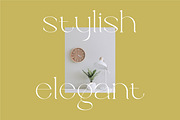Brillant - Stylish Ligature Serif, a Serif Font by suhadidesign (Thumbnail 2 of 10)