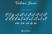 Velomi Juice– Elegant Handwritten, a Handwritten Font by Basnistudio (Thumbnail 12 of 13)