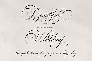 Blissful Classic Calligraphy